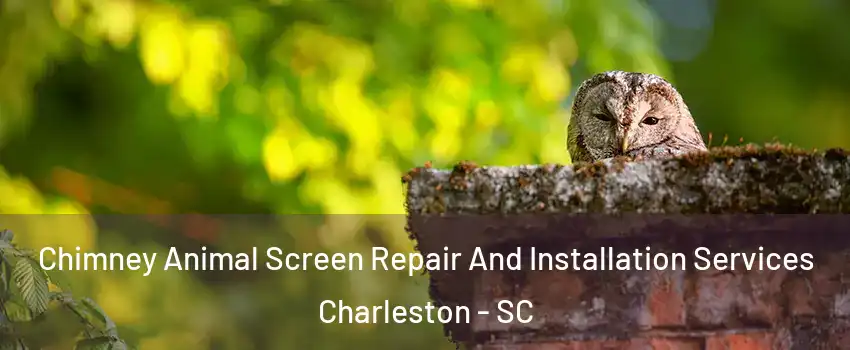  Chimney Animal Screen Repair And Installation Services Charleston - SC