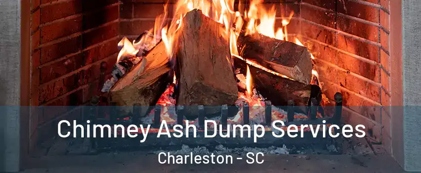  Chimney Ash Dump Services Charleston - SC