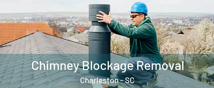  Chimney Blockage Removal Charleston - SC