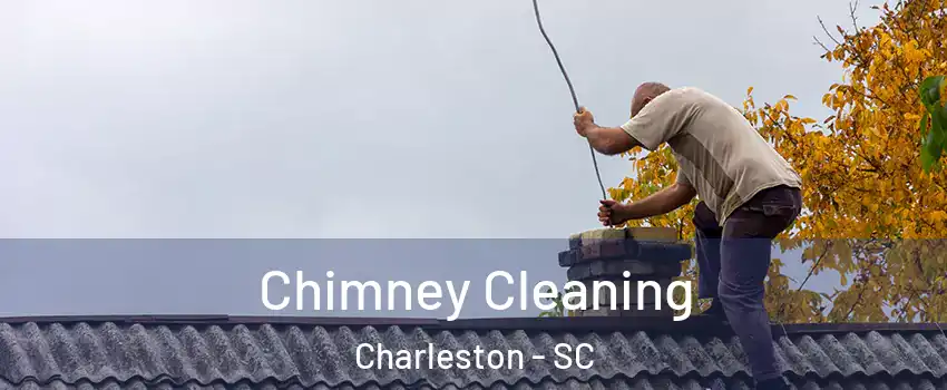 Chimney Cleaning Charleston - SC