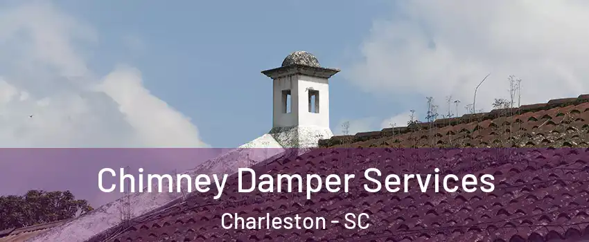  Chimney Damper Services Charleston - SC