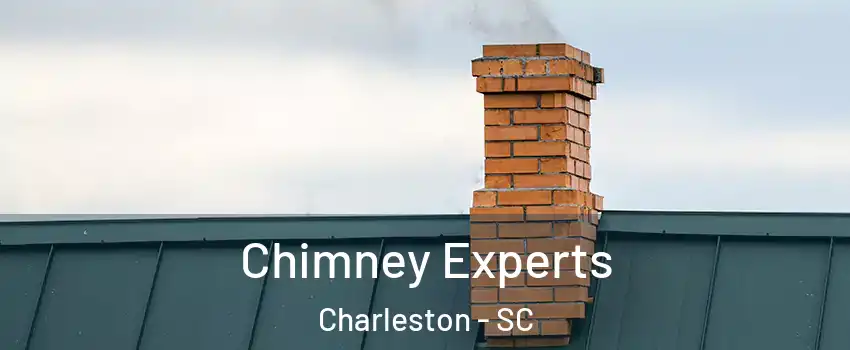  Chimney Experts Charleston - SC