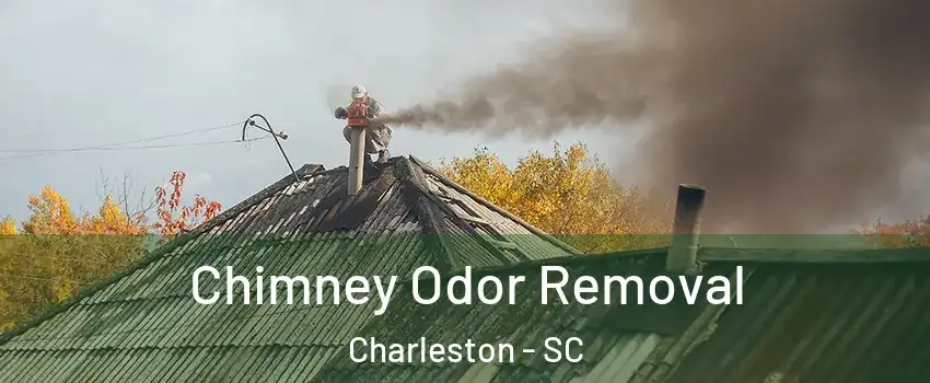  Chimney Odor Removal Charleston - SC