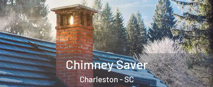  Chimney Saver Charleston - SC