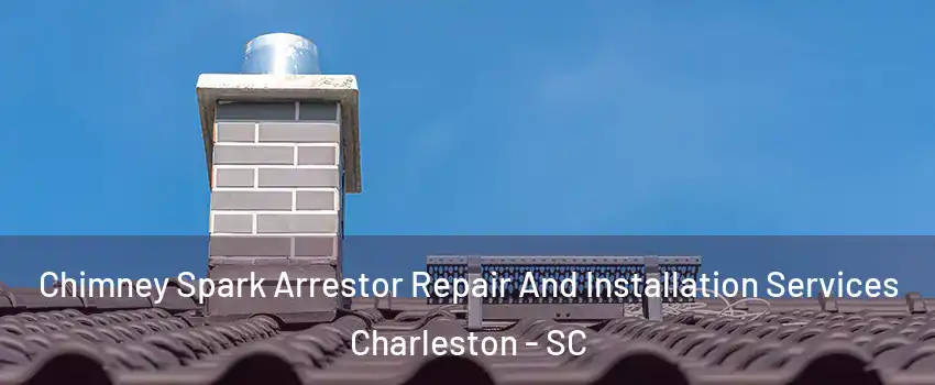  Chimney Spark Arrestor Repair And Installation Services Charleston - SC