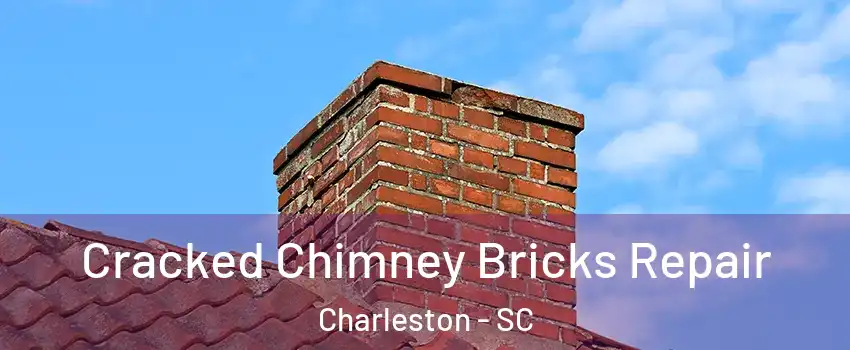  Cracked Chimney Bricks Repair Charleston - SC
