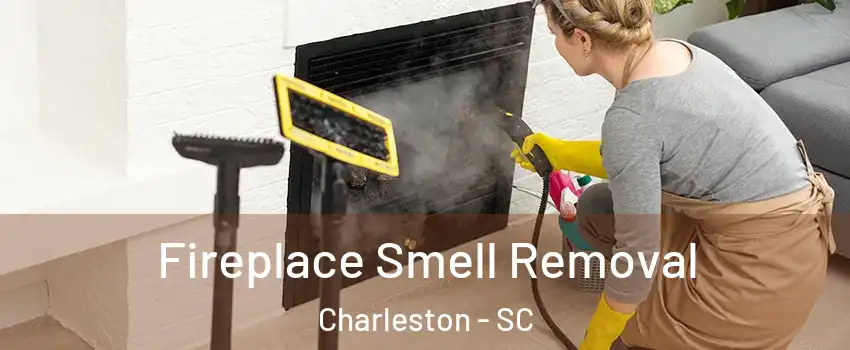  Fireplace Smell Removal Charleston - SC