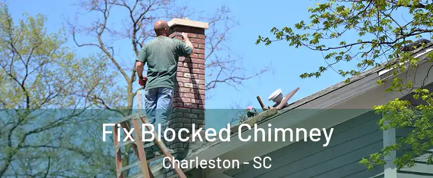  Fix Blocked Chimney Charleston - SC