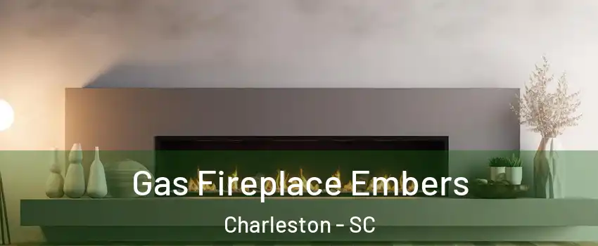  Gas Fireplace Embers Charleston - SC