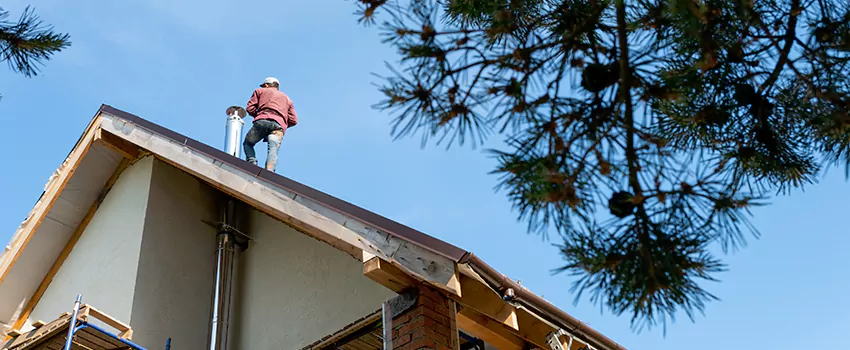 Birds Removal Contractors from Chimney in Charleston, SC