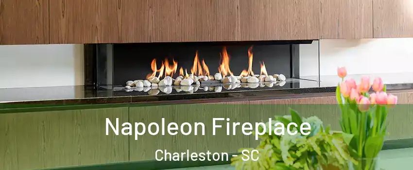  Napoleon Fireplace Charleston - SC