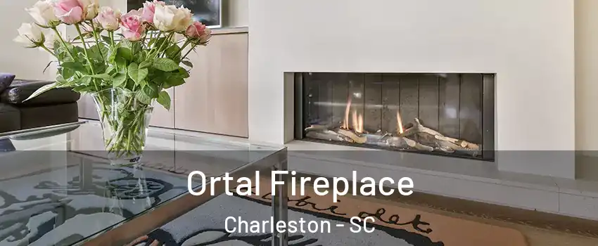  Ortal Fireplace Charleston - SC